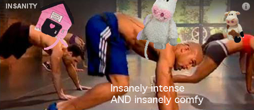 Insanity PP all copy