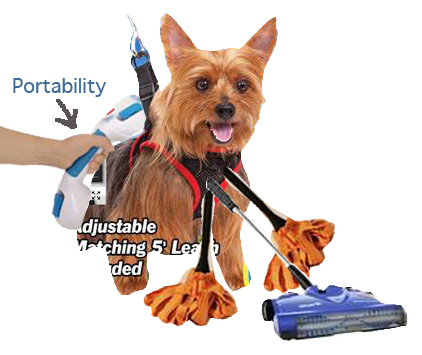 puppy infomercial 2 copy